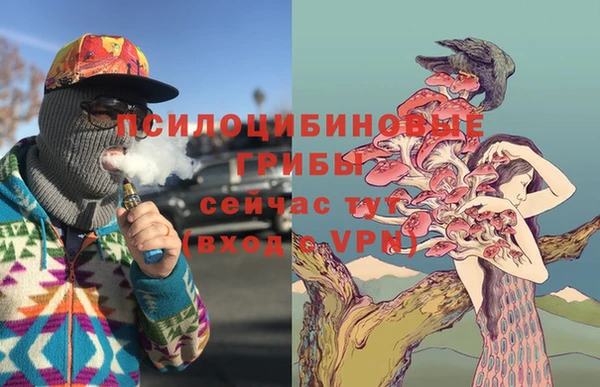 a pvp Корсаков