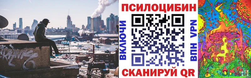 Псилоцибиновые грибы прущие грибы Голицыно