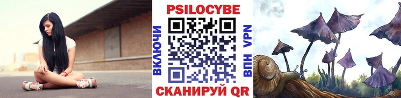 Псилоцибиновые грибы GOLDEN TEACHER  Купить где  Голицыно 