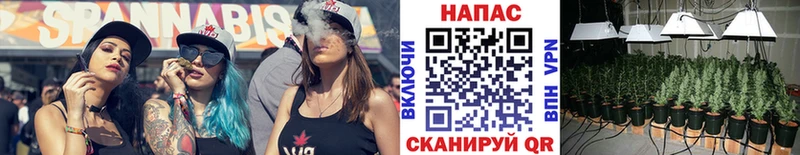 Каннабис VHQ  Купить  Голицыно 